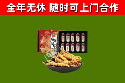 崂山区回收冬虫夏草价格